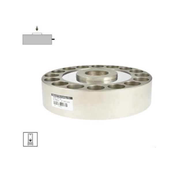 PTST(50/100T) 轮辐式传感器